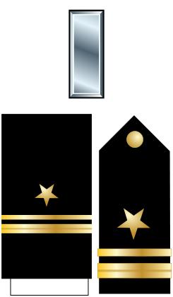 美国的军衔等级及标志（美国警衔等级与职位图）