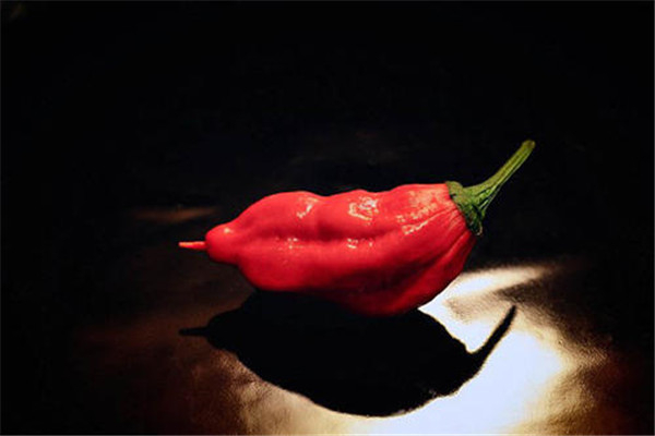 世界上最辣的十大辣椒 哈瓦那辣椒上榜红巨椒很是毒辣(图5)
